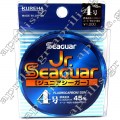 Seaguar Jr Fluorocarbon